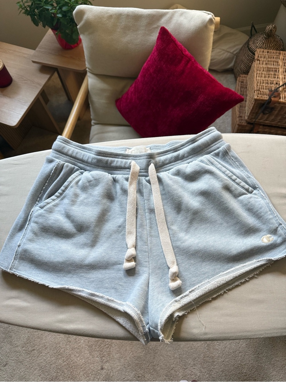 Champion Pale Blue Terry Athletic Shorts with Drawstring